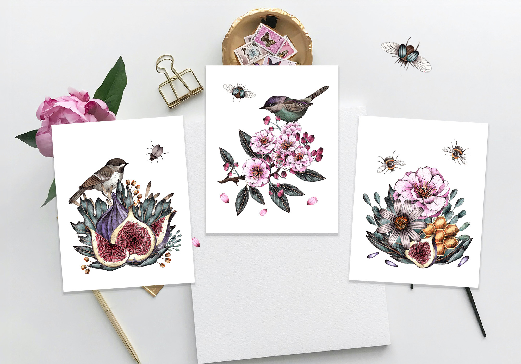 bird and fig prints